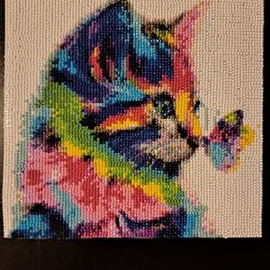 Finished colorful cat